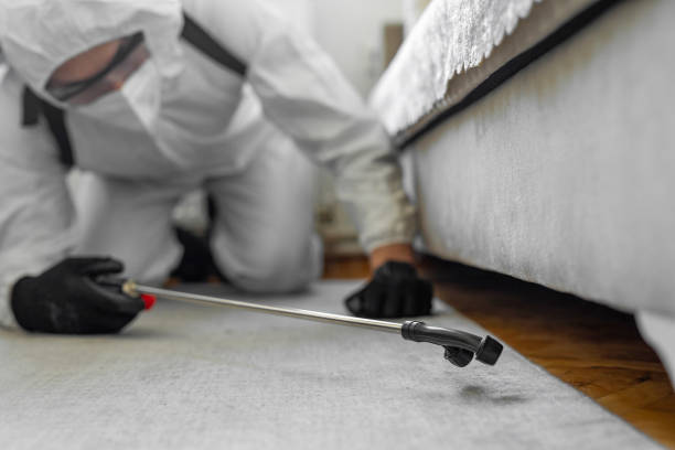 Professional Bed Bug Control technician working in Village of the Branch, NY