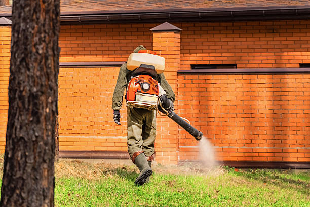 Trusted Mosquito Control service in Village of the Branch, NY - Nex Pest Control